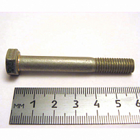 Болт М8*1,25*60 ОАО«БелЗАН» 00001-0060444-219 уп.10шт